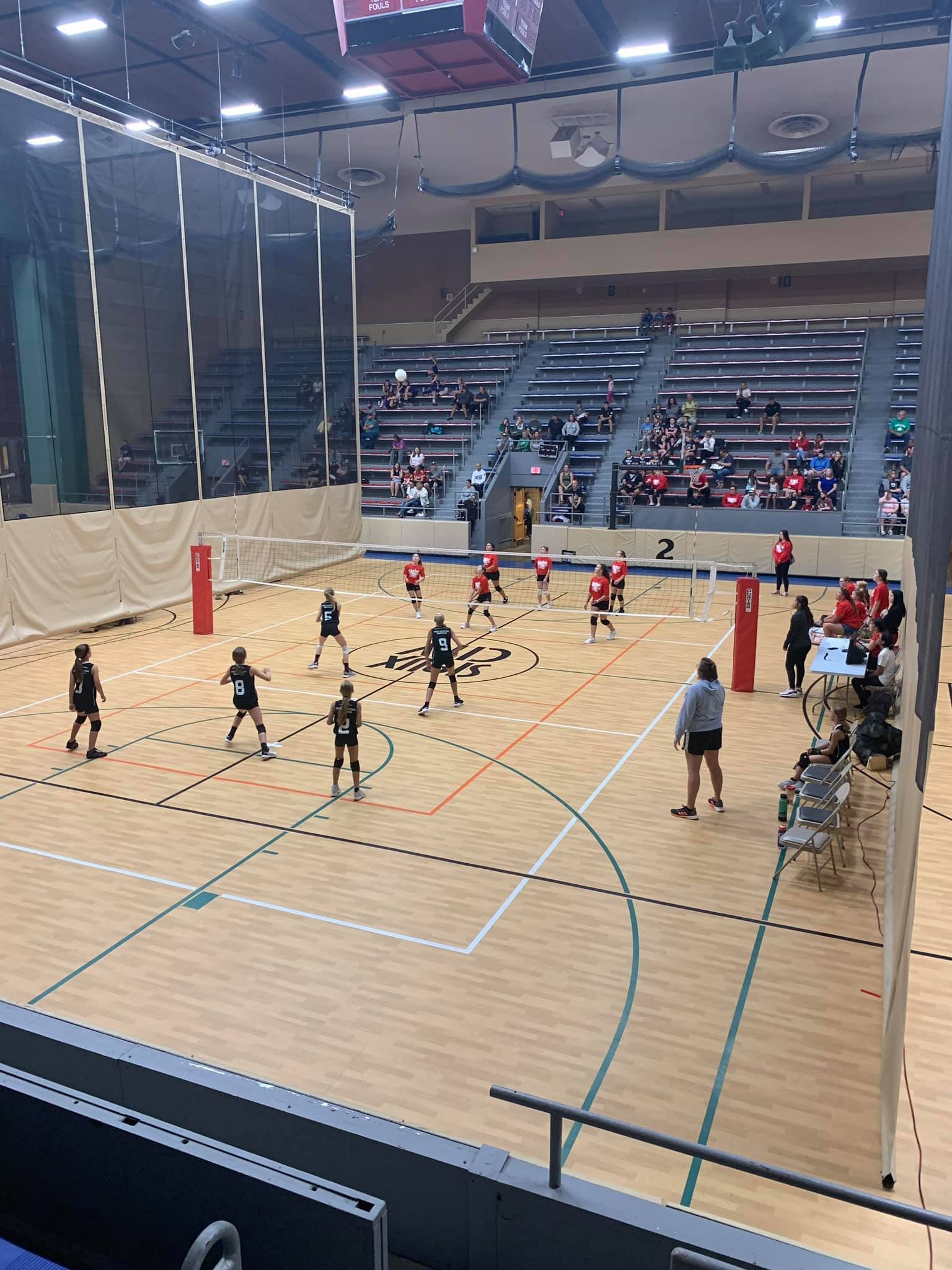 The Arena