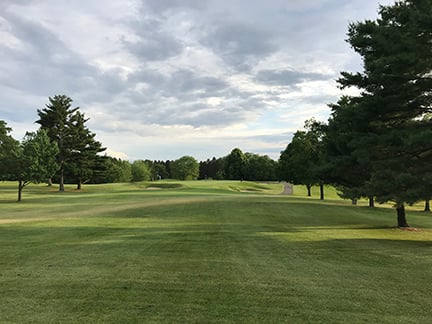 Meadowbrook