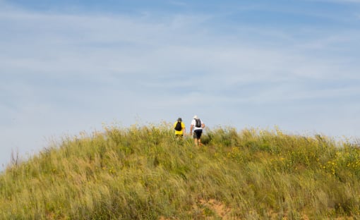 Sand Hills State Park