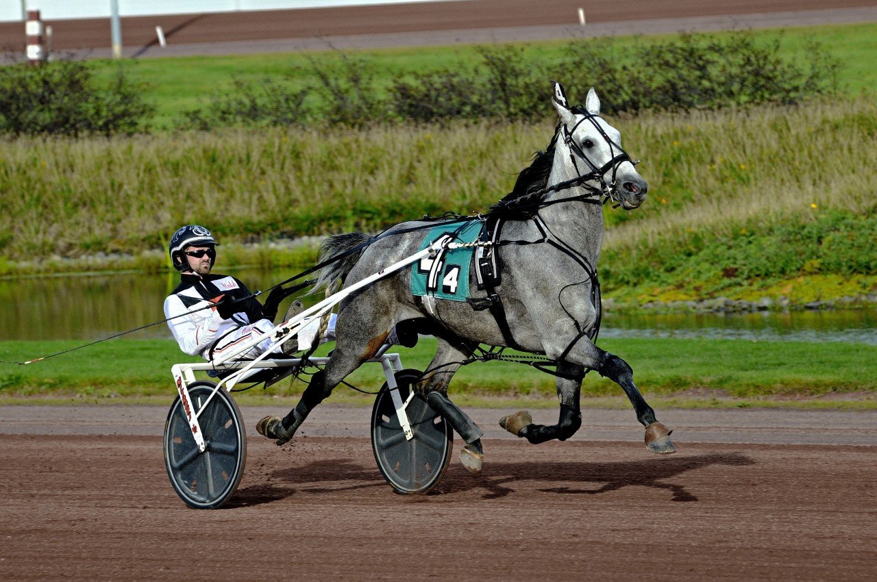 Downs at Mohegan Sun Pocono Harness Racing