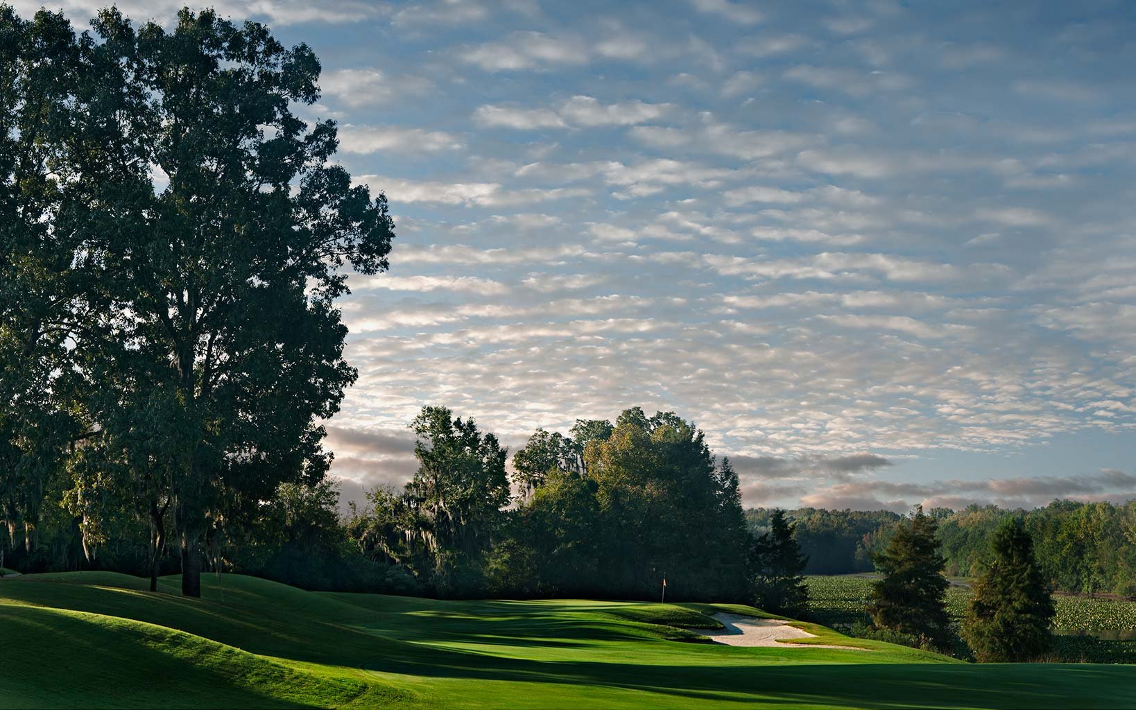 Robert Trent Jones Golf Trail - Capitol Hill