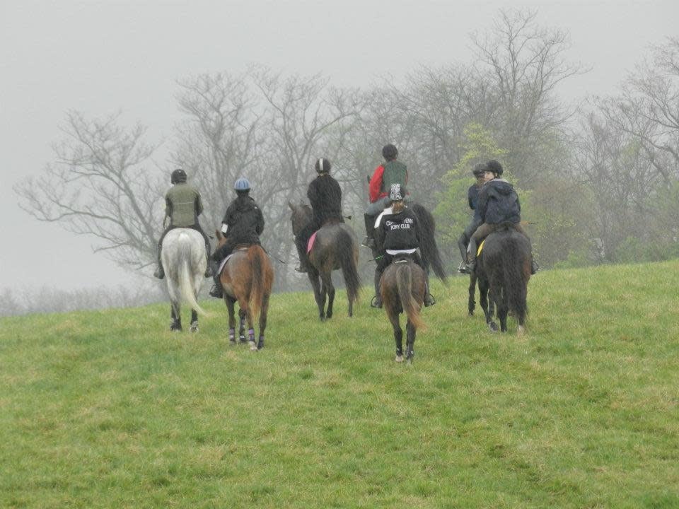 Virtue Stables