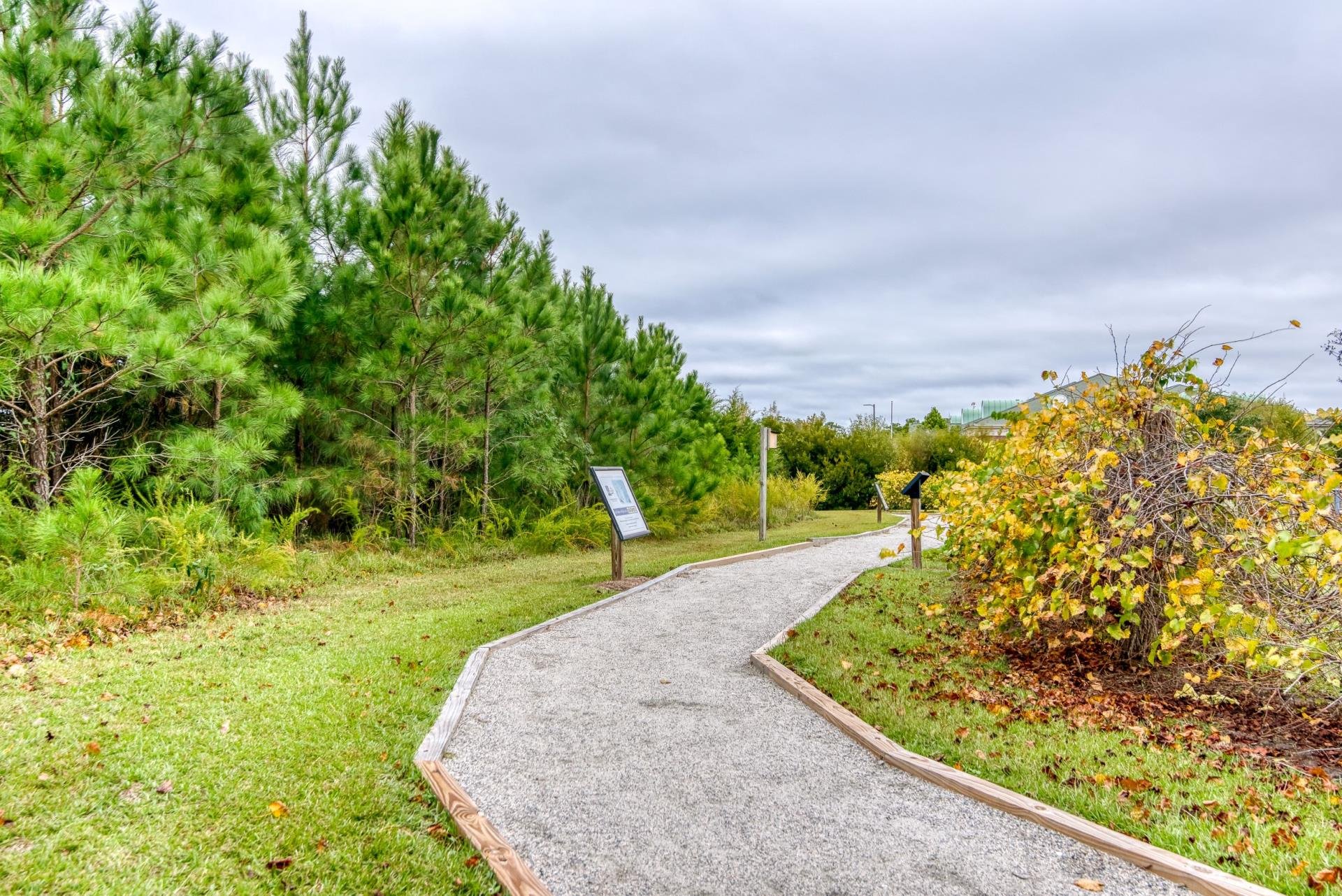 Marshall and Gussie Collins Walkway