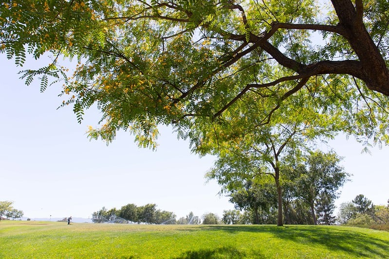 Pamplico Park 