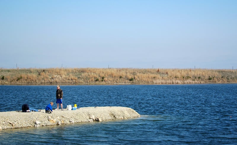 Bluebill Wildlife Area