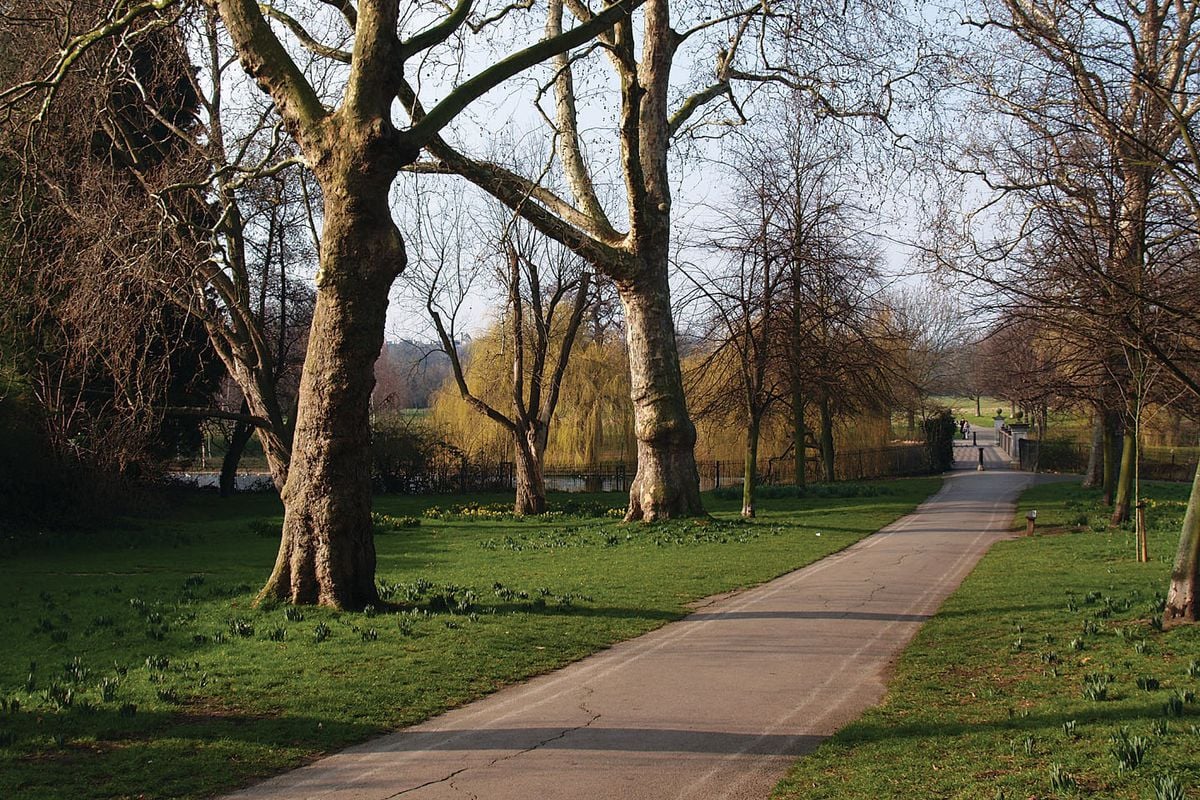 Roosevelt Park