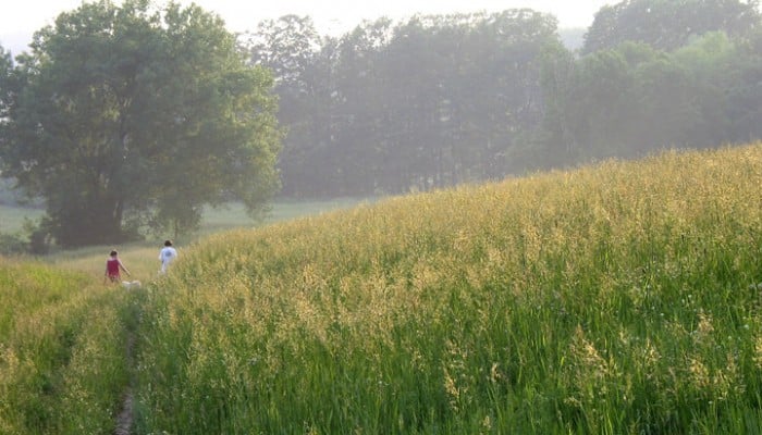 Hickory Meadows