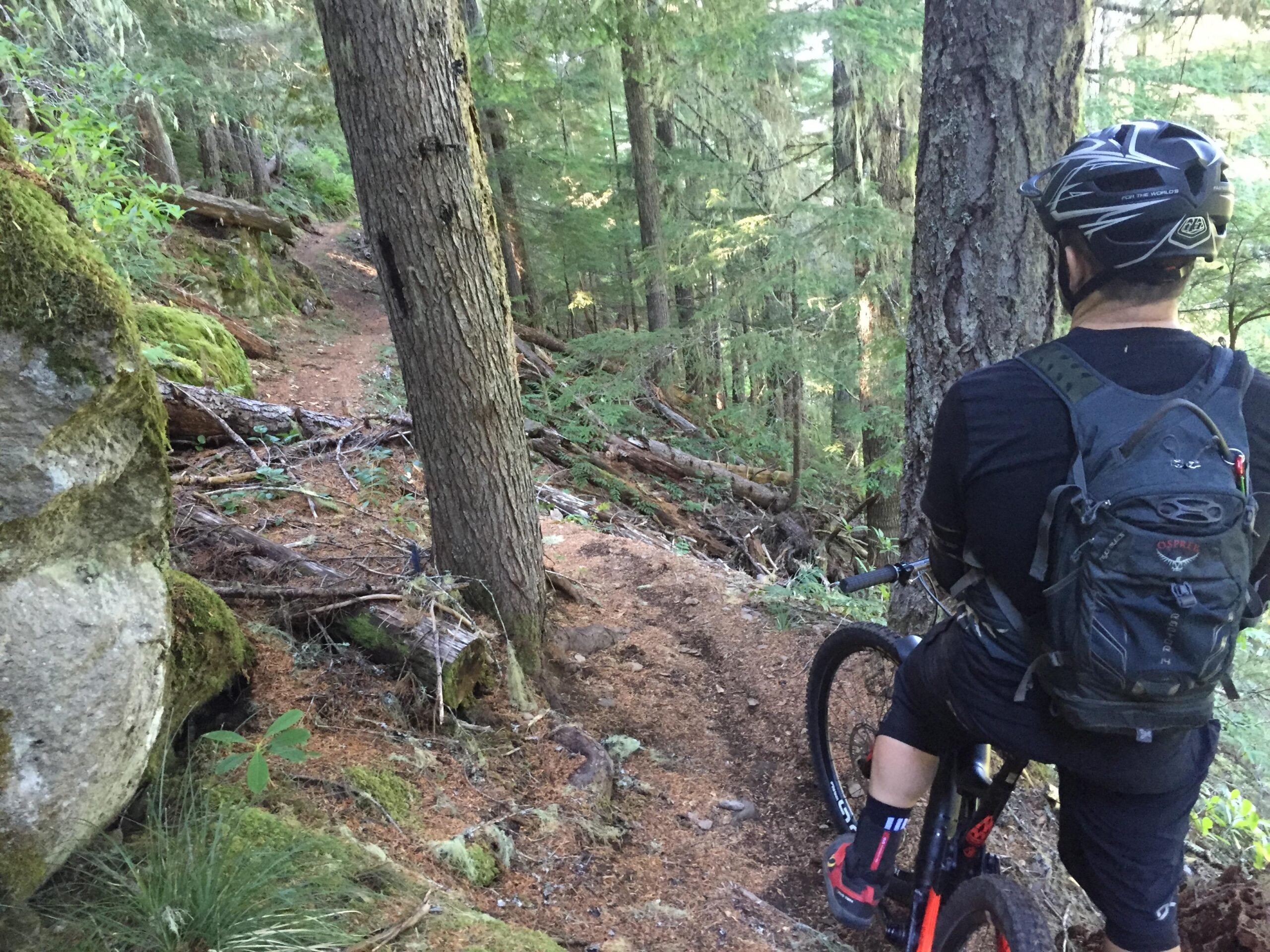 Olallie Ridge Loop