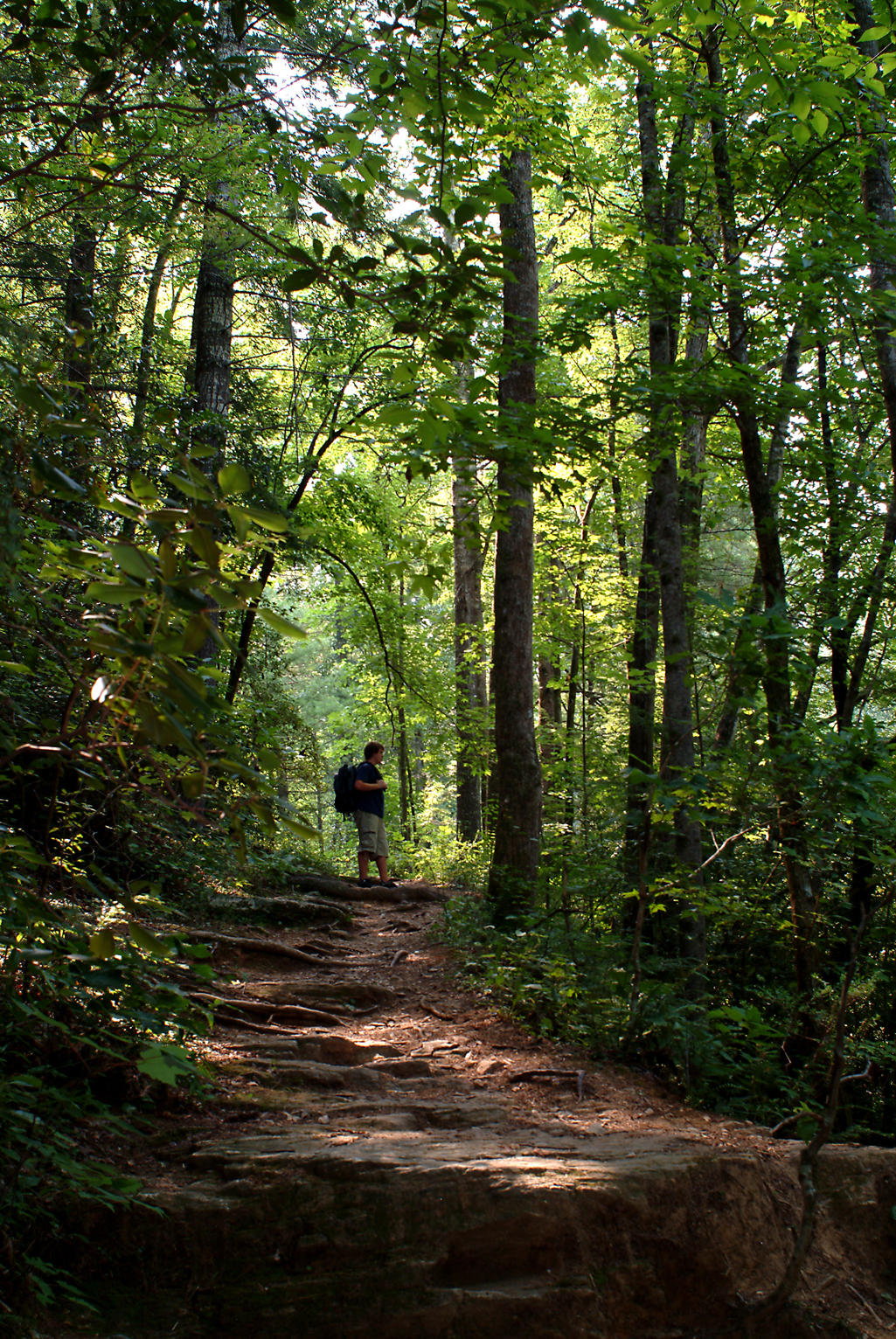 Paris Mountain State Park