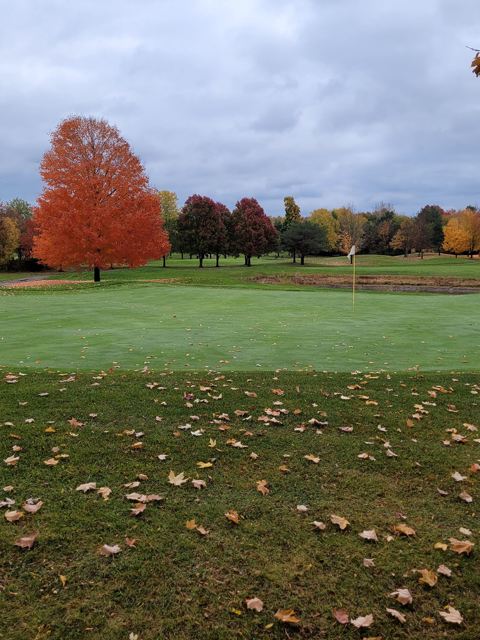Golden Hawk Golf Course