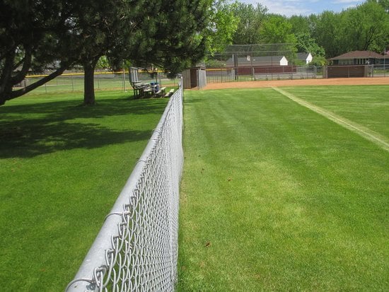 Ray Thompson Little League