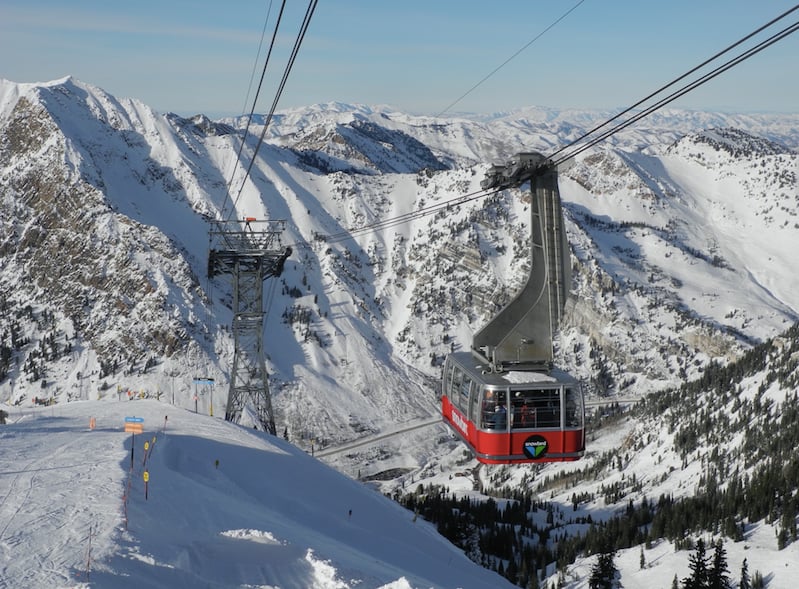 Snowbird
