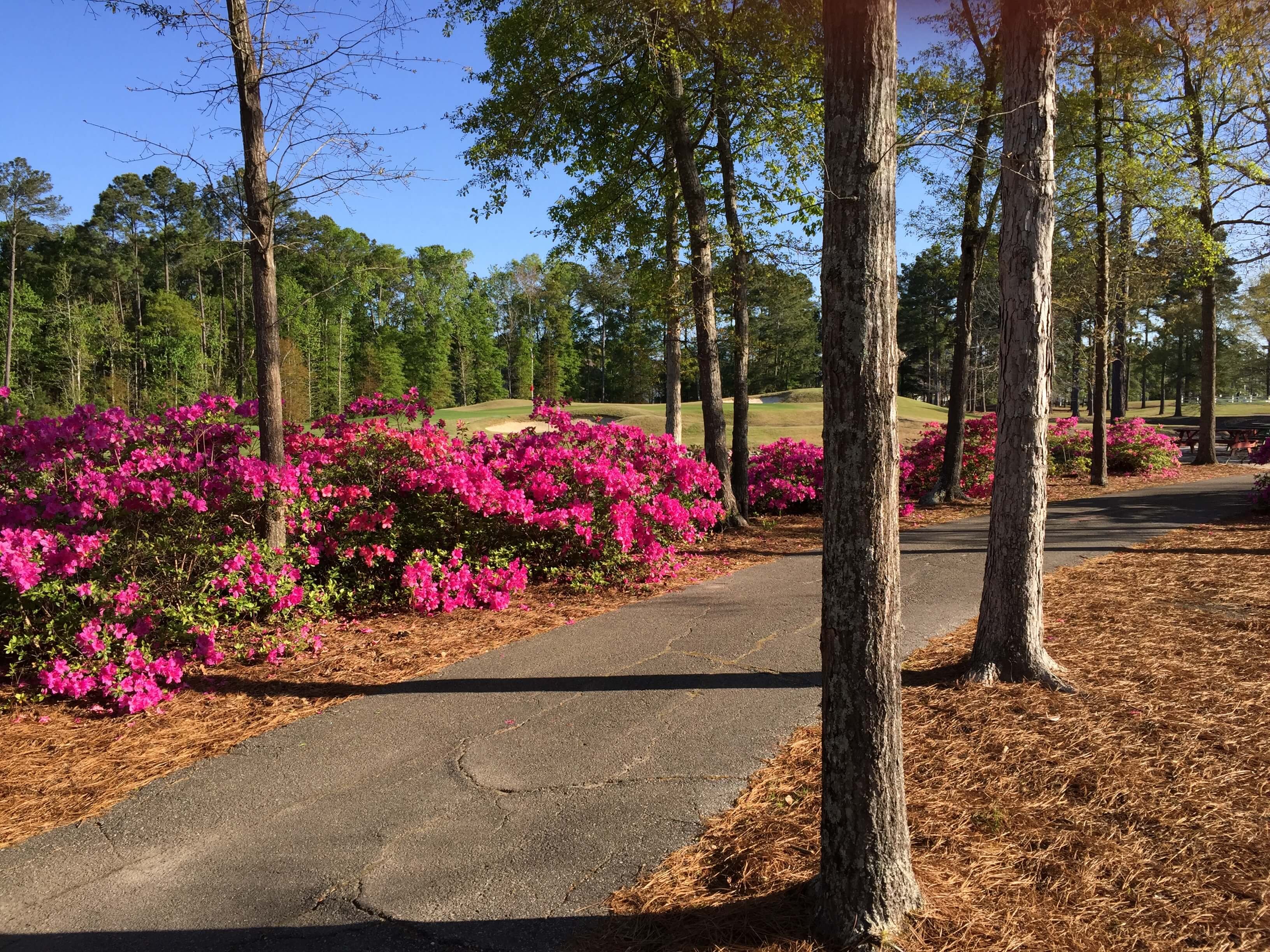 River Oaks Golf Club