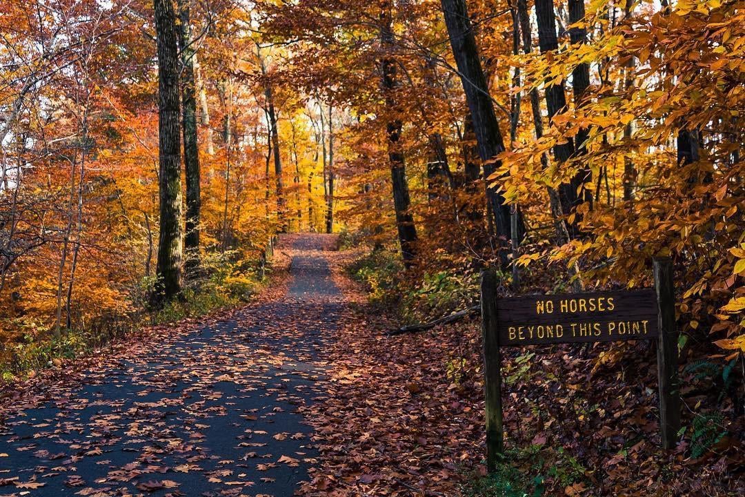 Tyler State Park