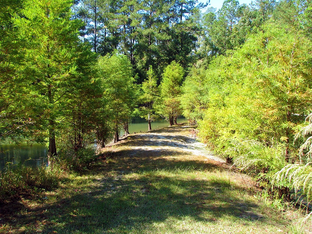 Cypress Park