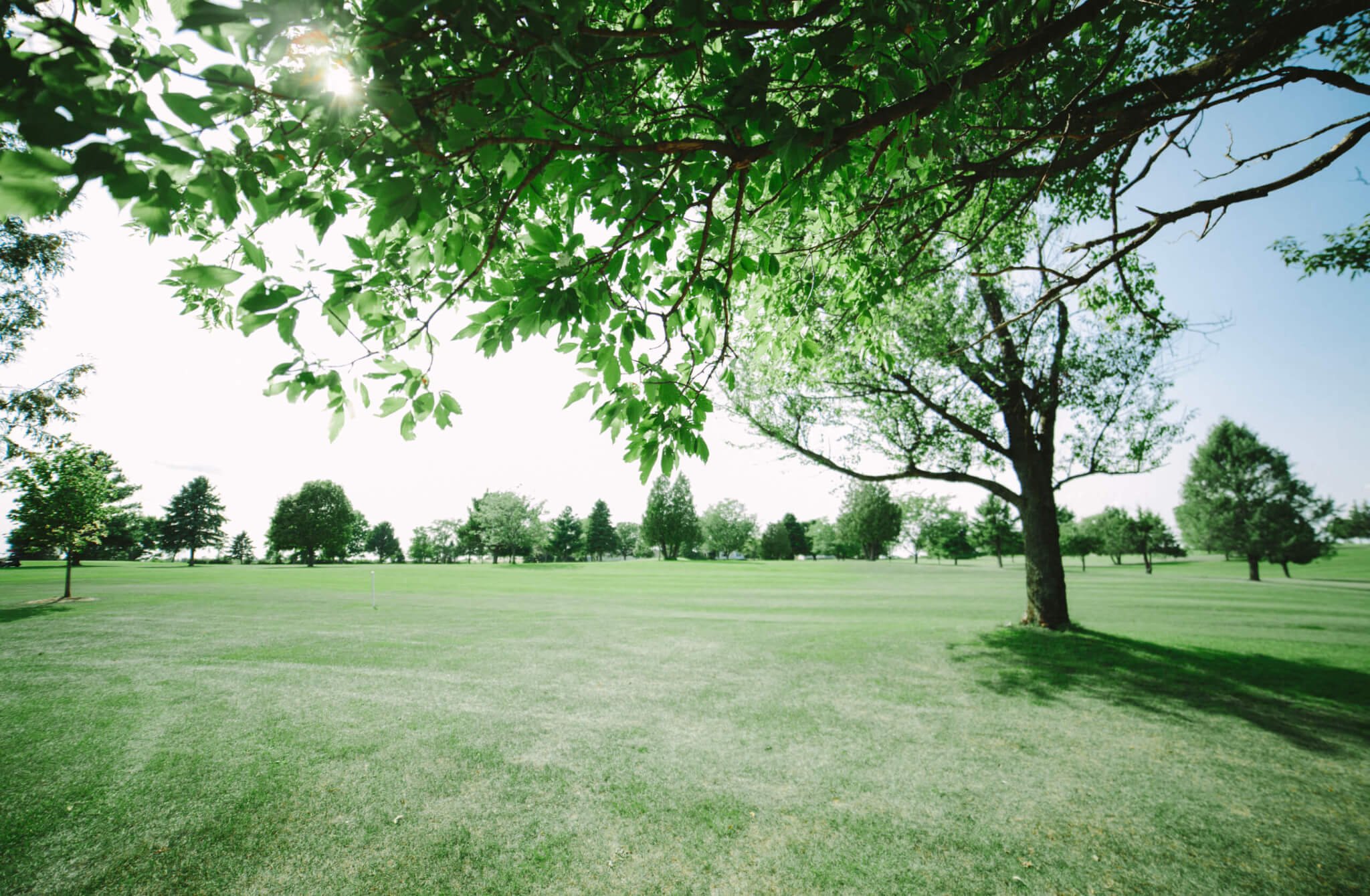 Cecelia's Golf Course