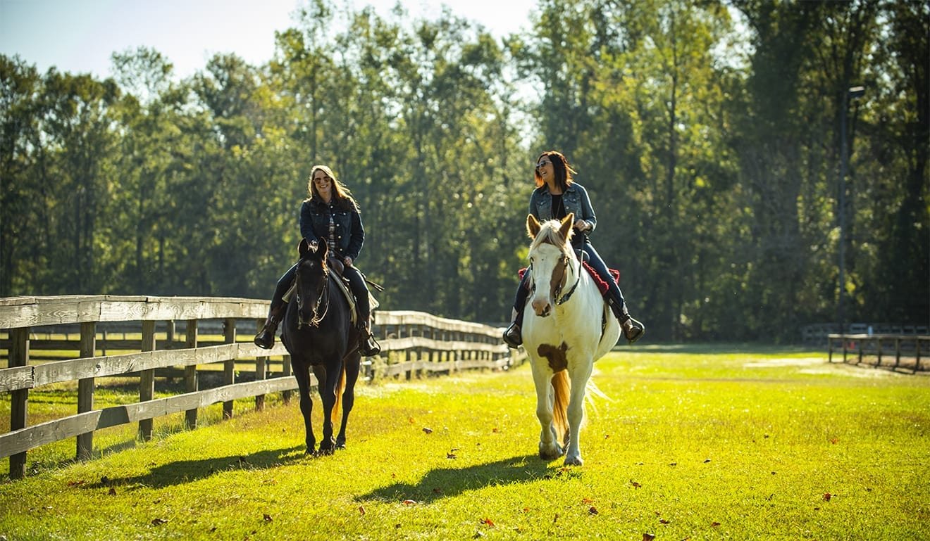 Hines Farm Park & Stables