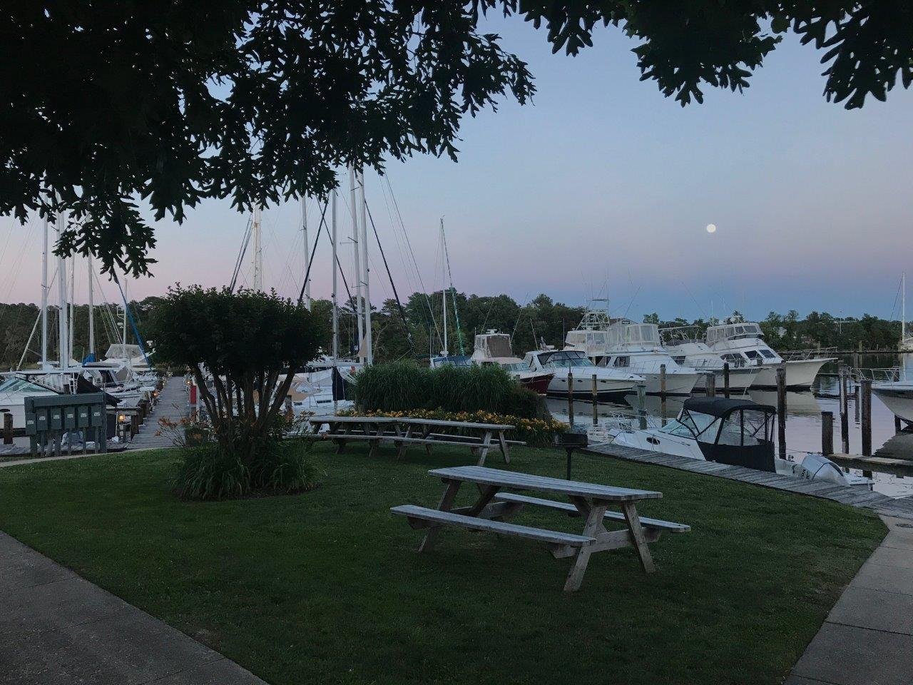 Spring Cove Marina