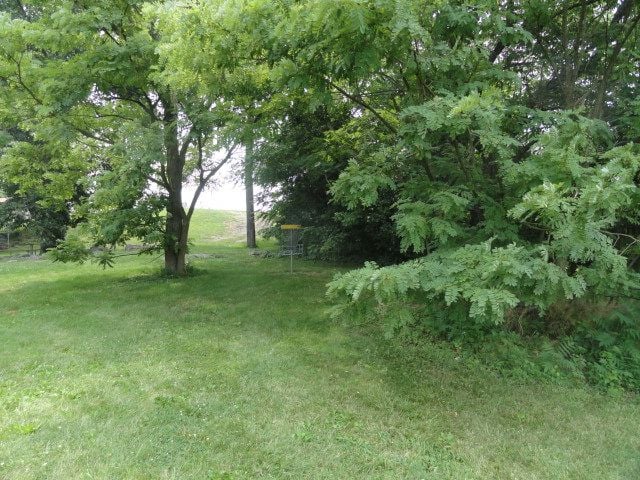 Walrond Park Disc Golf Course