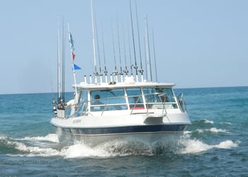 IT-IL-DO Charter