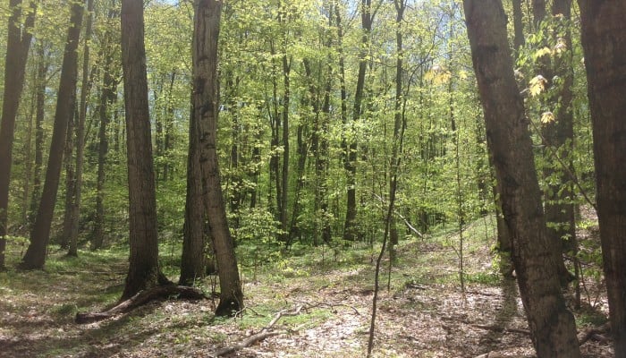 Fruithaven Nature Preserve
