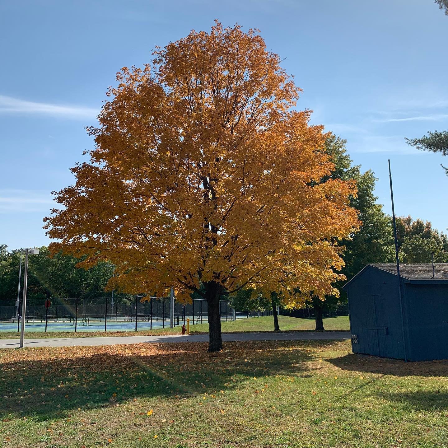 Plymouth Park and Recreation Department
