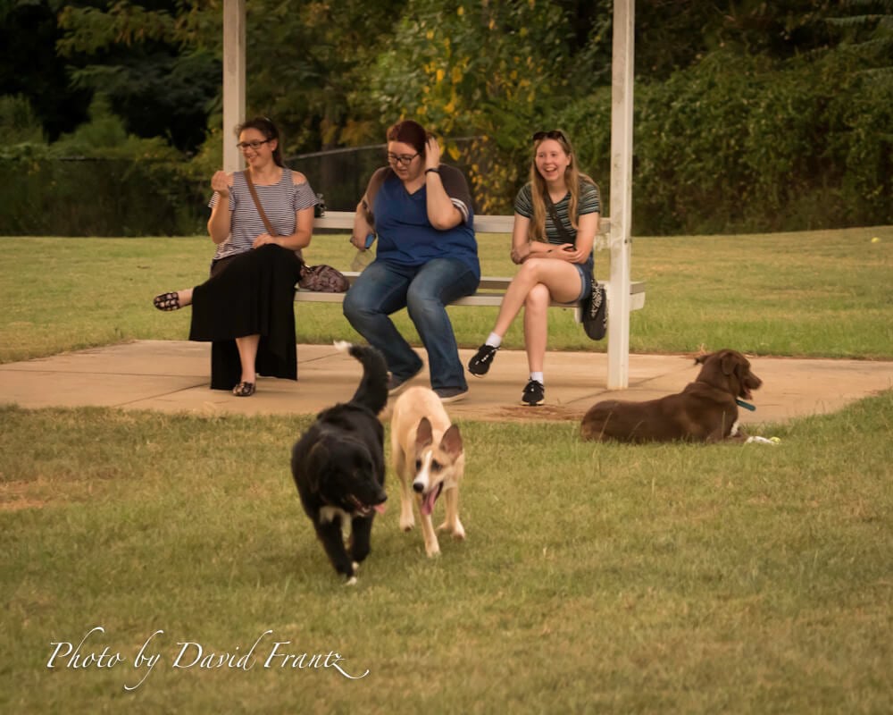 Aiken Dog Park