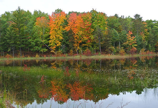 Muncie Lakes Pathway