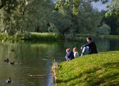 **Webster Pond