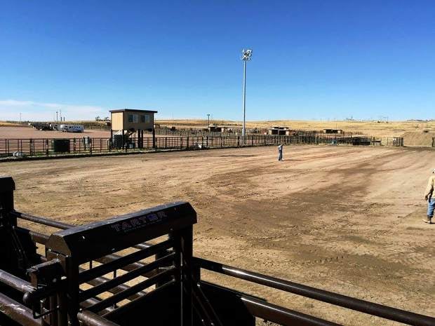 Southern Campbell County Agricultural Complex