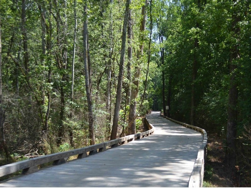 Big Creek Greenway Trailhead
