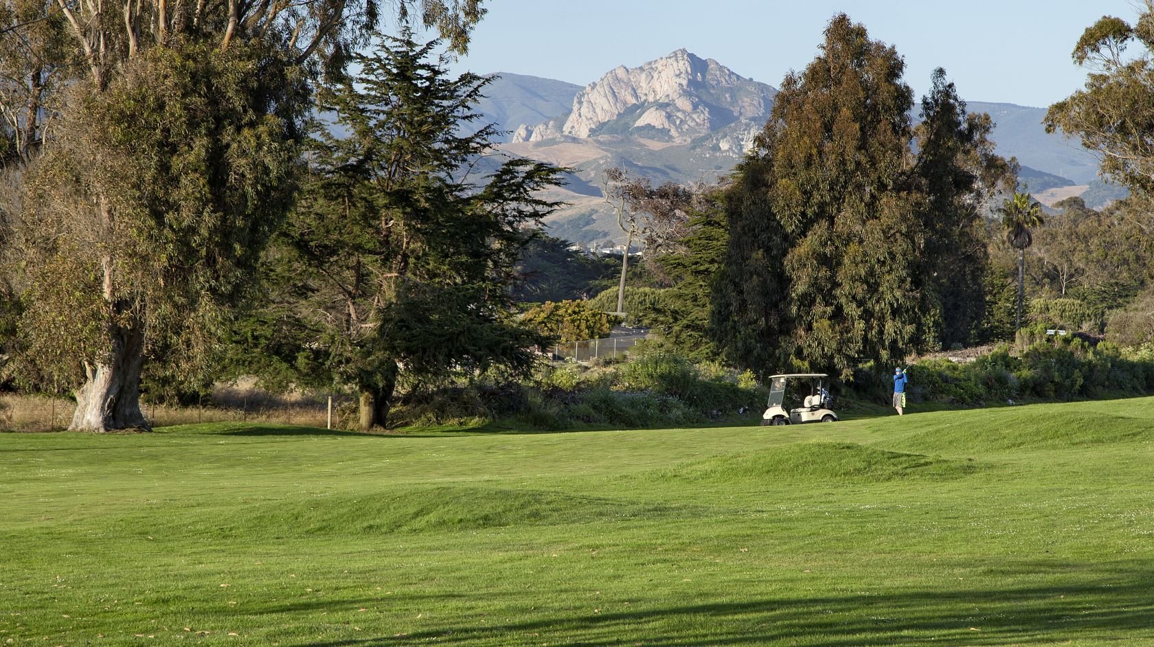 Sea Pines Golf Resort