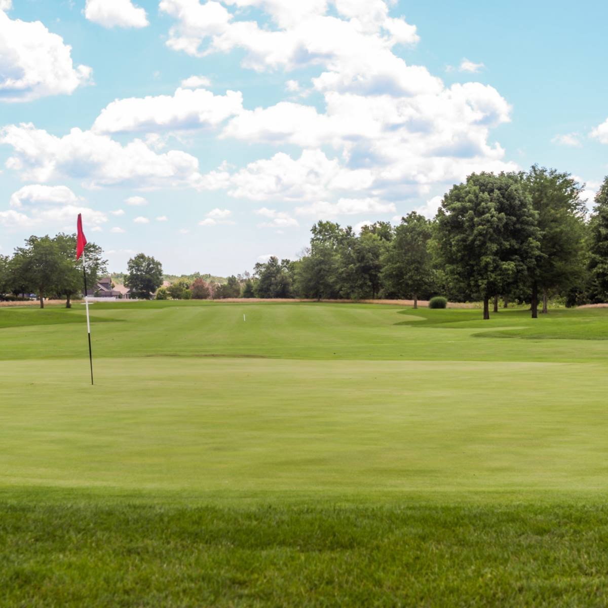 Wildcat Creek Golf Club