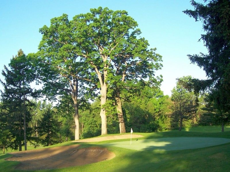 Ottawa Park Golf Club