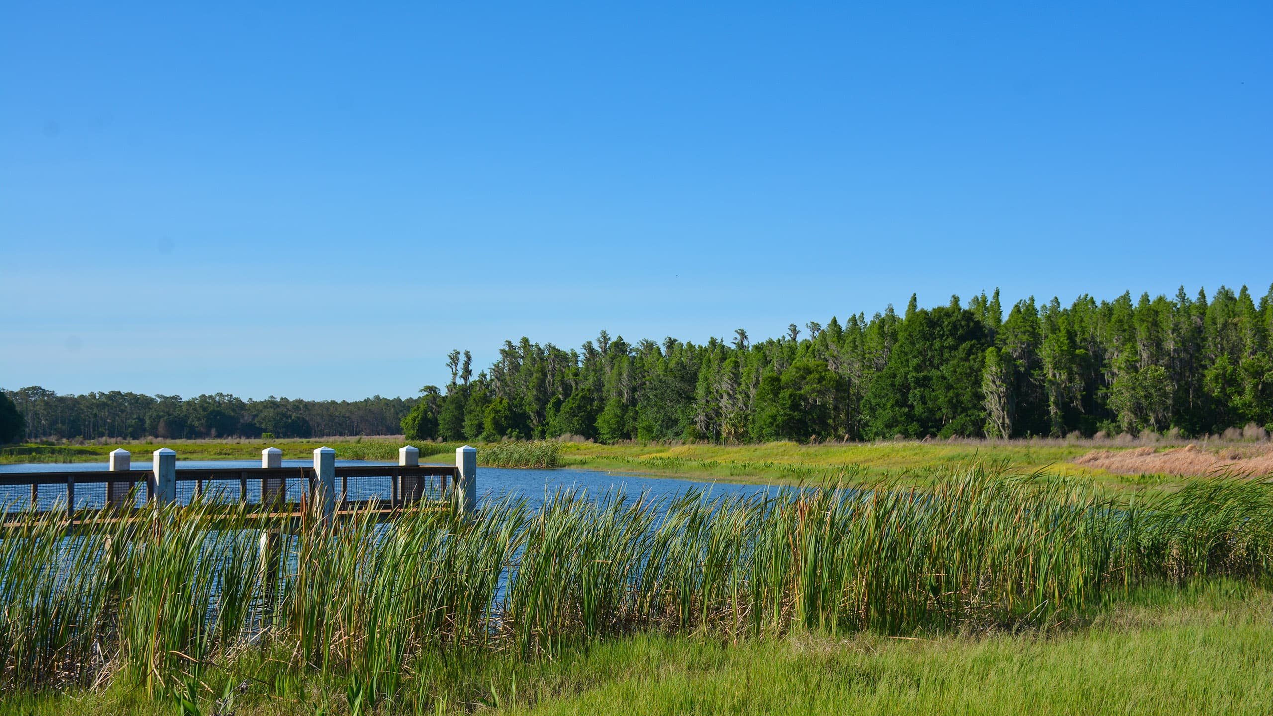 Colt Creek State Park