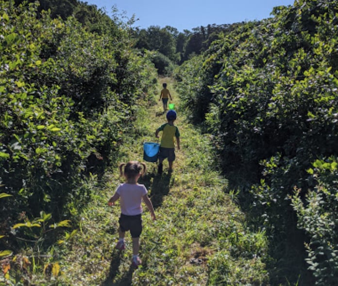 Huyser Farm Park