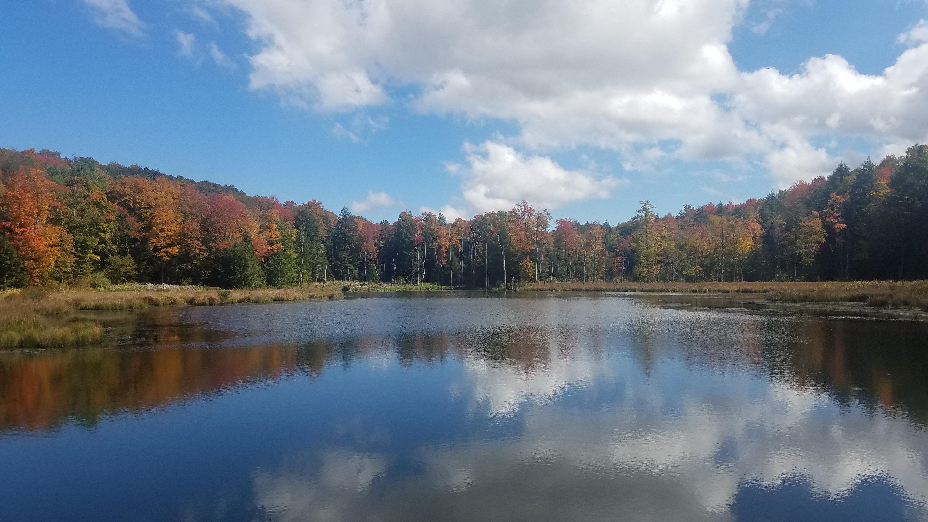 Piney Reservoir