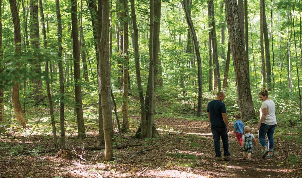 Backus Nature Trail