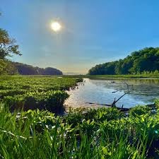 American Chestnut Land Trust- South Trail