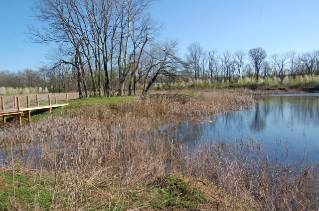 Valley View Foundation 