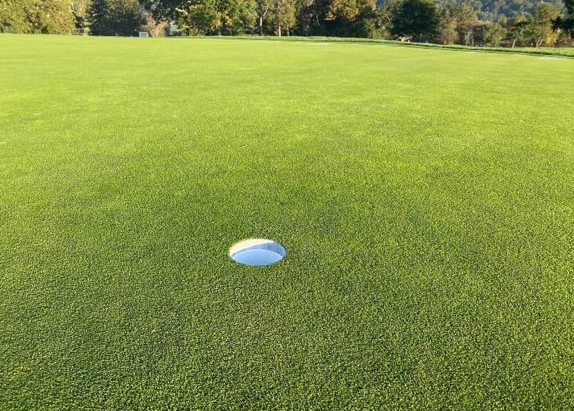 Lulu Country Club