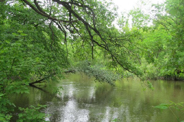 MacNider Woods