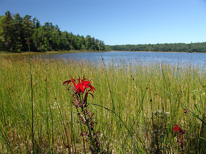 Kehl Lake Natural Area