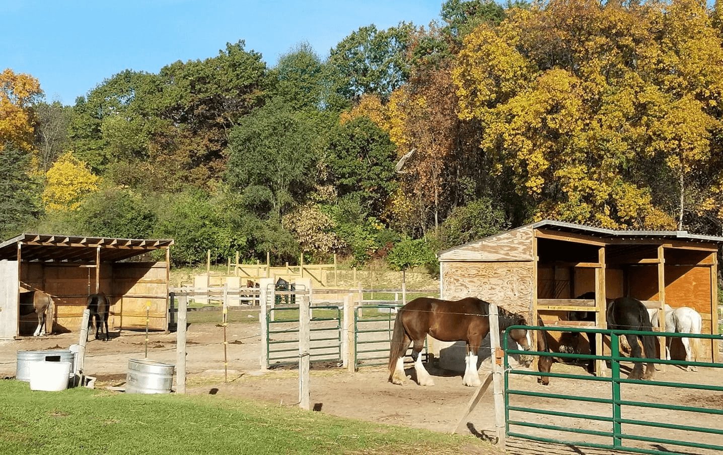 Hell Creek Equestrian Center