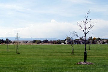 Lake Minnequa Veterans Memorial Park & Open Space