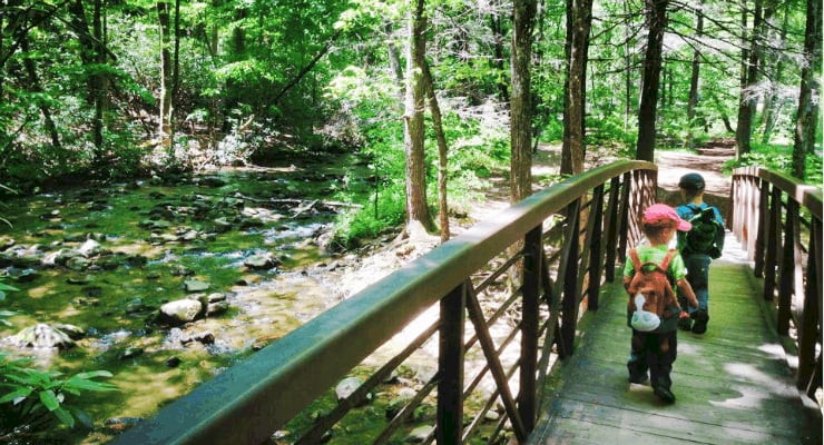 Jones Gap State Park