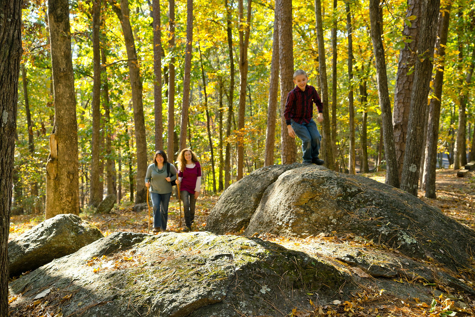 Red Top Mountain State Park