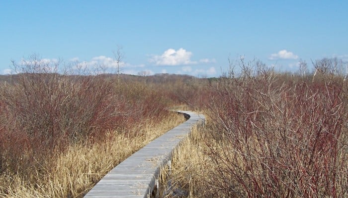 Upper Herring Lake Nature Preserve