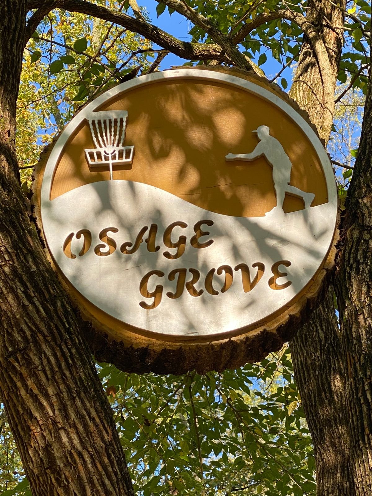 Osage Grove Disc Golf Course