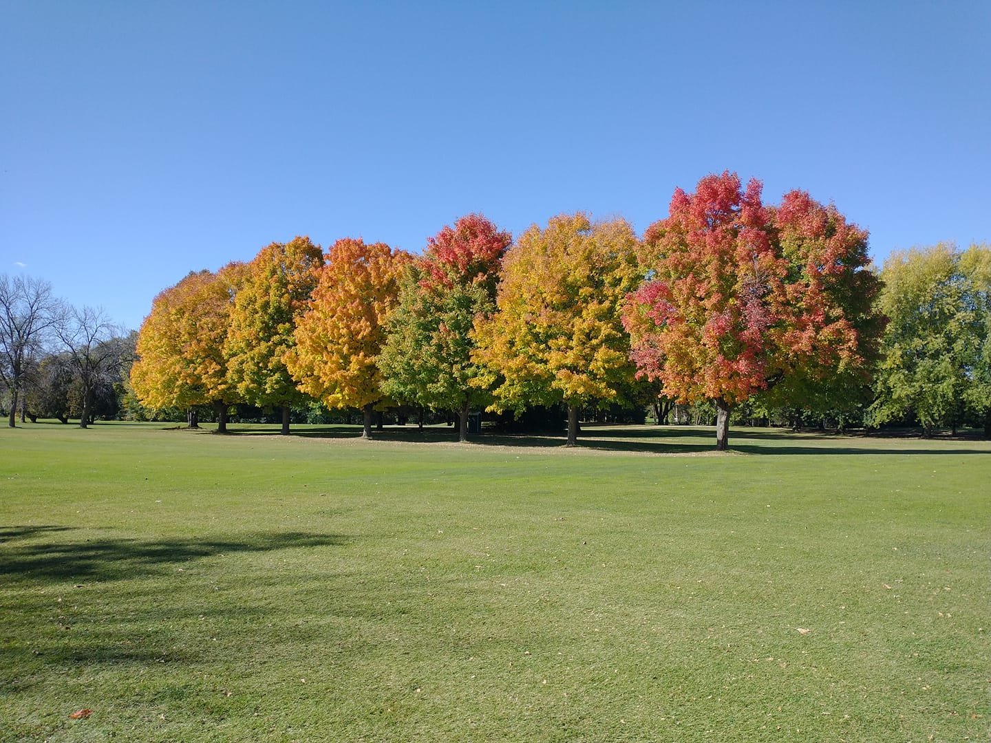 Far Vu Golf Course